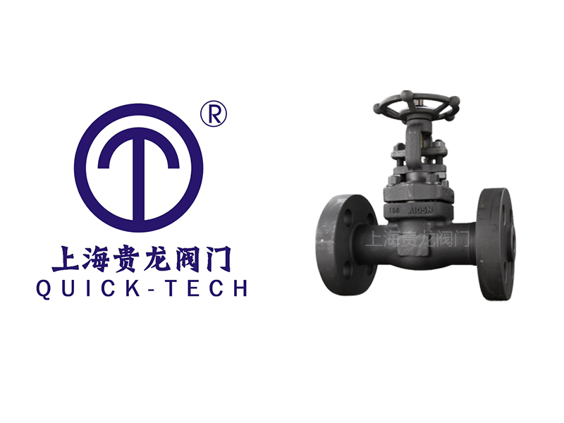 上海贵龙阀门有限公司锻钢法兰闸阀的应用！