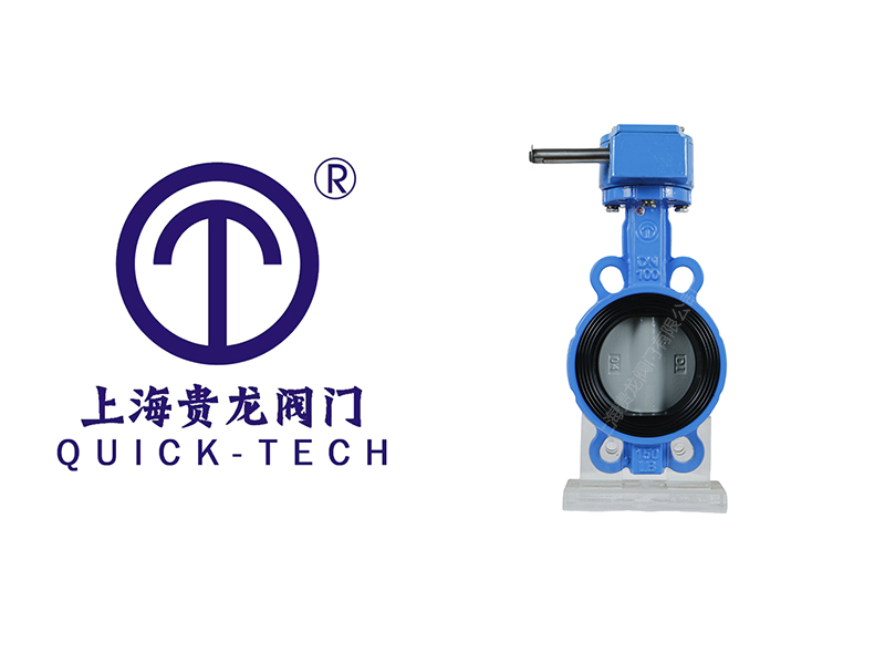 上海贵龙阀门有限公司涡轮对夹蝶阀的应用领域！